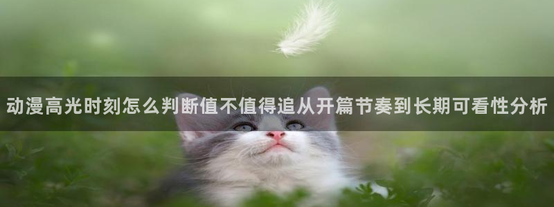 汗汗漫画人气作品推荐：动漫高光时刻怎么判断值不值得追从开篇节奏到长期可看性分析配图
